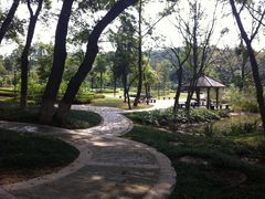 69-南京特殊教育师范学院(燕子矶校区)