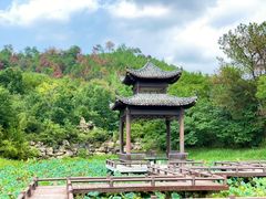 -黄陂区野村谷景区