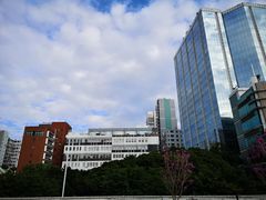 -九龙公园