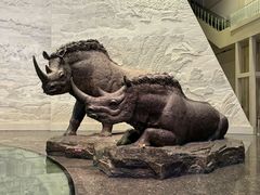 -大庆市博物馆