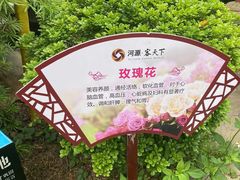 -河源客天下-温泉小镇