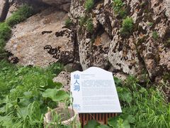 -芦芽山旅游度假区