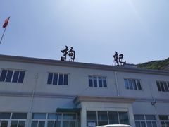 -枸杞岛