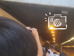 -Big Bus Tours 敞篷观光巴士