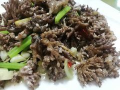 龙爪菇-双门农庄(南源岭店)