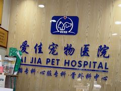 -爱佳宠物中心医院24H·CT·骨外科·猫专科(瑶海万达店)