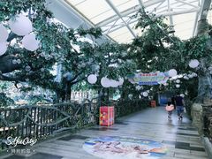 -杭州浪浪浪水公园