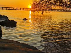 -宝安西湾红树林湿地公园