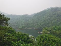 -鼎湖山风景区
