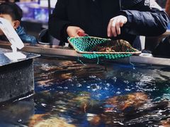 -盒马鲜生(莱蒙都会店)