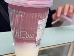 -一只酸奶牛(洪崖洞11楼店)