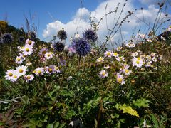 -白草畔自然风景区