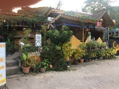 -Jungle Kitchen