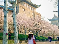 -武汉大学-樱园