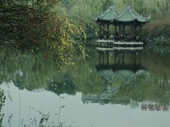 -棠湖公园