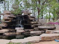 -羊亭河湿地公园