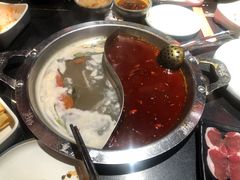 -井格重庆火锅(西直门凯德Mall店)
