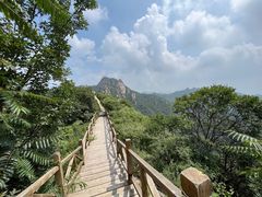 -大岭沟猕猴桃谷风景区
