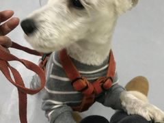 -达爱动物医院·犬猫分区·CT·复杂眼科(远洋山水分院)