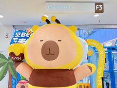 -凯德MALL(西直门店)