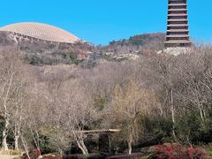 -牛首山文化旅游区