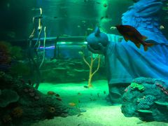 -沈阳海洋探索中心