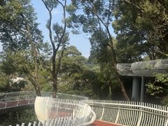 -金鸡山公园