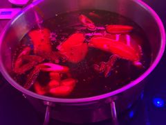 -唯爱KTV聚会餐厅(仙林东城汇店)