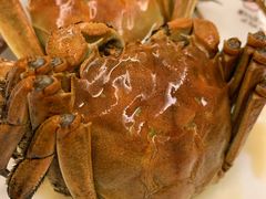 -黄记大闸蟹专卖店·活蟹·醉蟹