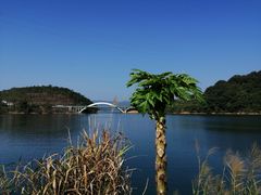 -广州市流溪河国家森林公园