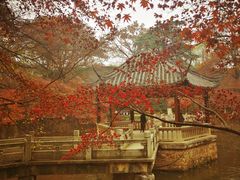 -虞山风景区