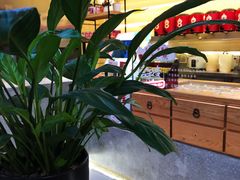 -1828王老吉·草本新茶(珠江新城地铁站店)