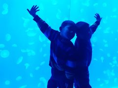 -江和美海洋公园