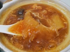 海参花胶特大鱼翅-添發碗仔翅美食