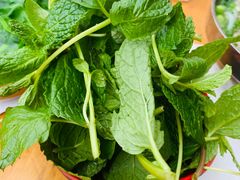 -攀枝花·任德琼·盐边羊肉米线