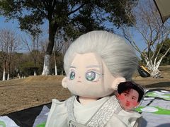 -艾溪湖湿地公园