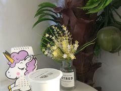 -津椰本·海南正宗椰奶清补凉(店一店)