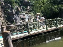 android_upload_pic-凤凰欢乐谷