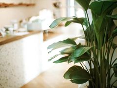 -Line 咖啡(石厦花园店)