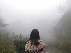 -山王坪喀斯特国家生态公园