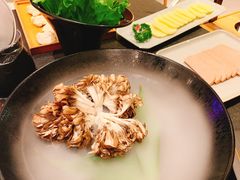 有机舞菇-煲宫(华润万象城店)