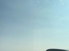 -深圳国际会展中心希尔顿酒店(前海华发冰雪世界店)