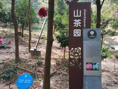 -中山市树木园