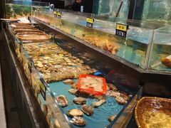 -龙宴海鲜城(经中路店)