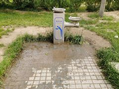 -大兴滨河森林公园