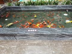 -北苑汤泉
