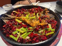 -老板恋上鱼(高新万达店)