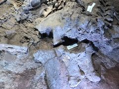 -世界恐龙谷景区