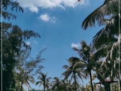 -白沙门生态公园