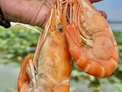 -七的湖·晚芳亭·阳澄湖农家菜·大闸蟹(莲花岛店)